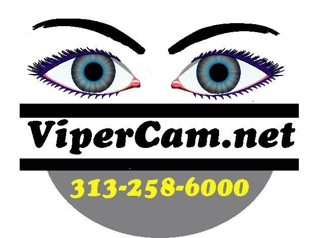 Vipercam Logo